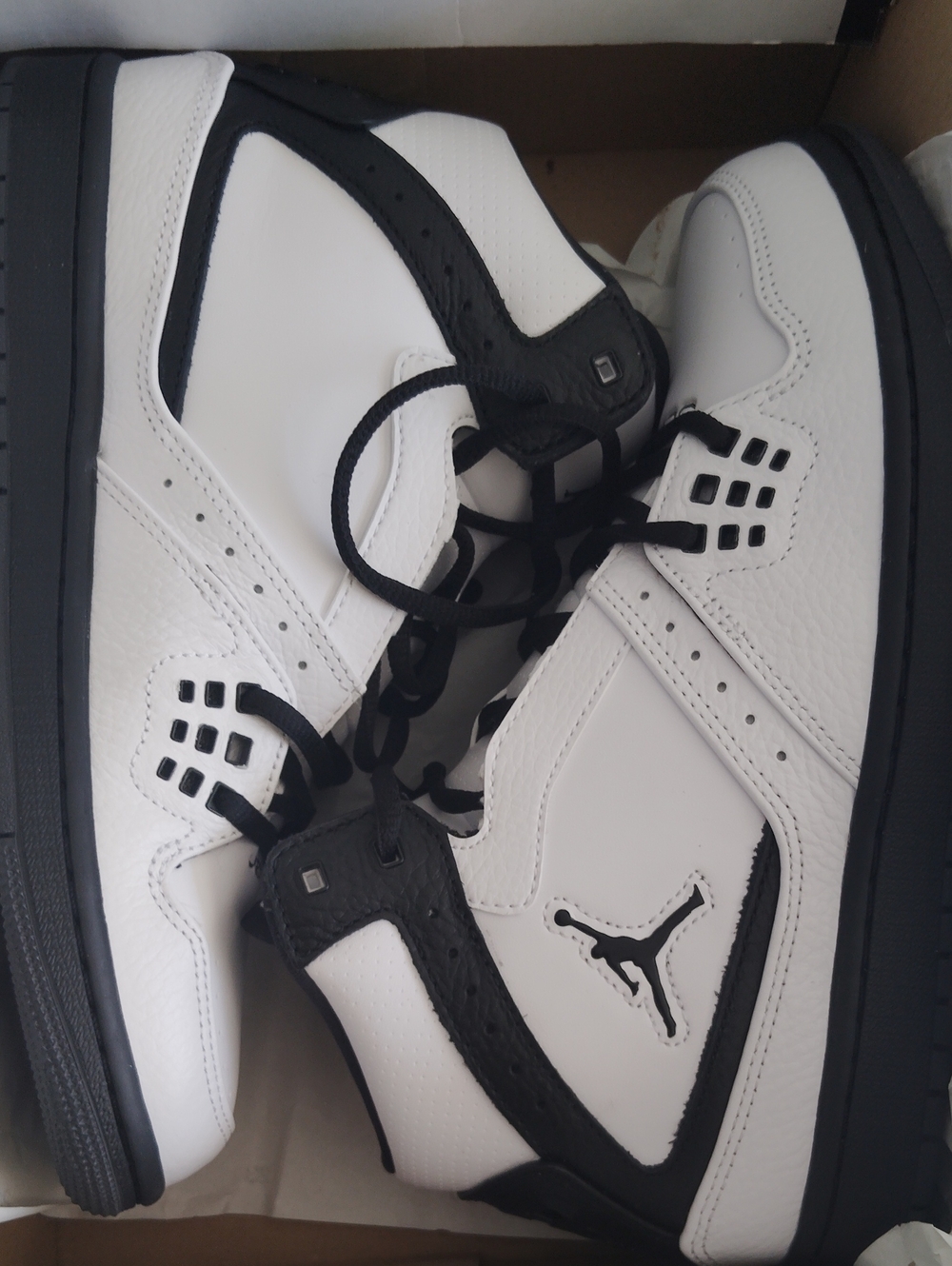 Brand New Jordan 1 Flight